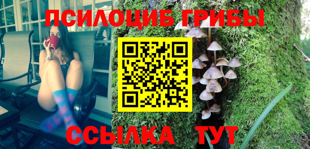 Галлюциногенные грибы мицелий  Вход с VPN  Назарово  Галлюциногенные грибы прущие грибы 